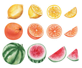 Fruit set. Watercolor illustrations. Hand painted yellow lemon, green, red watermelon, orange, grapefruit, tangerine. Citrus plants. Whole, cut in half, sliced fruits. Isolated food clip art