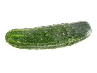 Fresh vegetable cucumber on white background