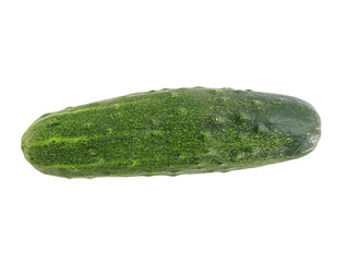 Fresh vegetable cucumber on white background