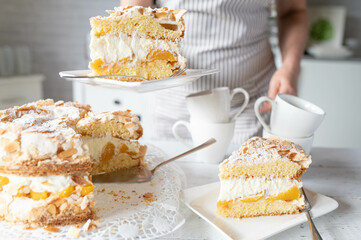 Summer cake with fresh baked meringue torte with whipped cream and peaches