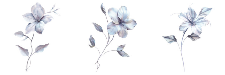 Set of An artistic drawing of a flower featuring intricate swirls and leaves isolated on transparent background