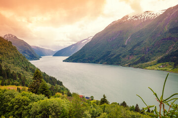 Fototapety na wymiar - Fototapeta24.pl