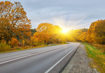 road, highway in autumn forest, larch, landscape