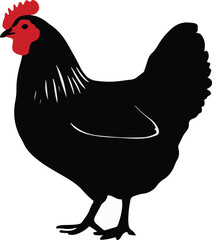 A charming hen, with glossy feathers and a cheerful cluck, embodies farmyard serenity and fresh eggs at dawn, perfect for rural idylls and organic produce enthusiasts. 