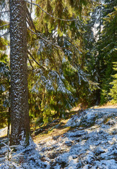 Colorful autumn landscape in the mountain village.