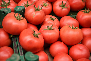frische Tomaten auf türkischem Markt