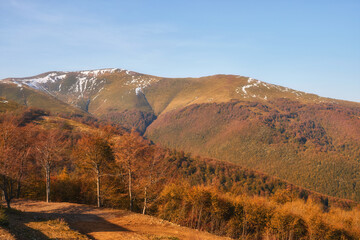 Enchanting Autumn Splendor: Majestic Carpathian Peaks Amidst a Colorful Tapestry