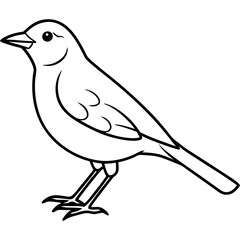 Stunning Fieldfare Vector Illustration