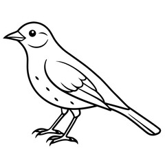 Stunning Fieldfare Vector Illustration