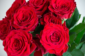 赤い薔薇