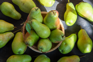 Parisian pear variety. Fruits on the table. Autumn harvest. Pears top view background. Green yellow red color pear. Vitamin vegan food.
