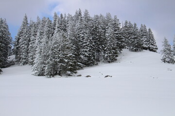 Fototapeta premium Schneelandschaft