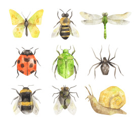 Watercolor set of insects. Hand-drawn illustrations isolated on white background. Butterfly, bee, dragonfly, ladybug, bug, spider, bumble bee, fly, snail