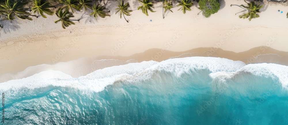 Fototapete aerial view of a sandy beach with palm trees and the ocean in the background, ideal for use in a des