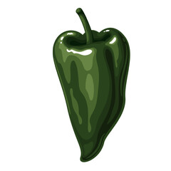 Green Poblano pepper, cartoon spice and vegetable. Small whole mild chili pepper and fresh vegetarian food ingredient with medium spicy taste, cartoon natural healthy plant vector illustration