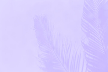Obraz premium Abstract purple Summer concept background, Coconut leaves pattern on purple background