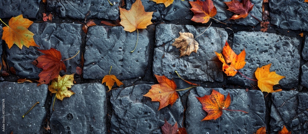 Aufkleber Fallen autumn leaves scattered on cobblestones, creating a rustic scene with a copy space image.