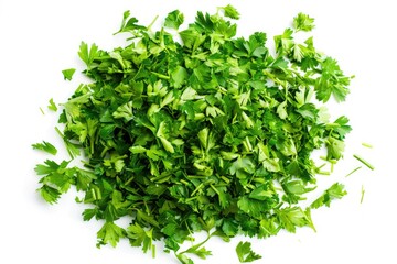Fototapeta premium Fresh parsley arranged on a white background