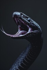Naklejka premium A black snake with its mouth opened widely