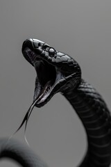 Obraz premium A black-and-white photo of a snake with its mouth wide open