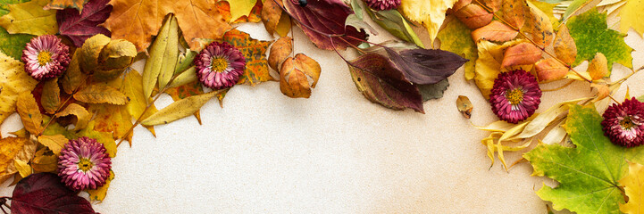 Autumn season, frame of various fallen leaves and chrysanthemum flowers, fall harvest, top view,...