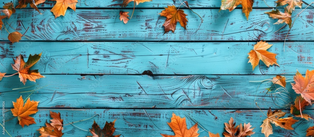 Poster aqua blue distressed wood with autumn decor and leaves for social media and web banners with autumn-