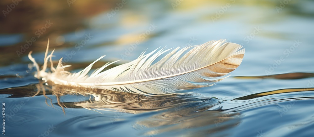 Aufkleber Feather of a bird resting on the water, providing room for a caption within the image.