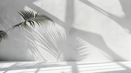 Soft shadows of palm leaves are elegantly cast upon a stark white minimalist wall, creating an interplay of nature and simplicity through light and shadow.