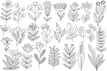 Fototapeta premium Doodle set with tropical leaves and fantasy flowers. Vector hand drawn illustration, isolated black outline. Great for coloring