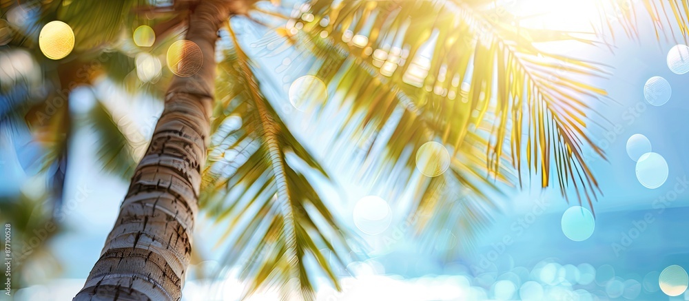 Poster Blurred coconut tree with the sunlit blue sky and bokeh effects in the background, creating a serene copy space image.