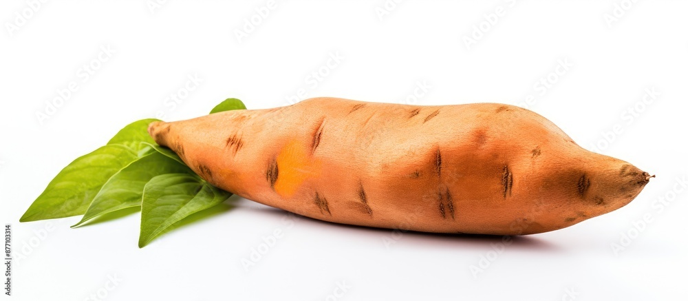 Poster isolated on the white backdrop, a fresh sweet potato is displayed with a clear area providing room f