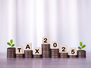 Wooden block with word TAX and number 2025, Plants growing up on stack of coins. The concept of...