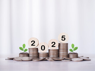 Wooden block with number 2025 and plants growing up on stack of coins. The concept of saving money...
