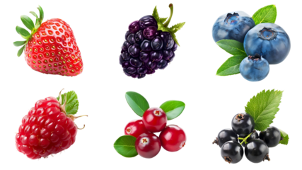 Set of various types of berries, isolated on transparent background. Strawberry, blackberry, blueberry, raspberry, cranberry, blackcurrant