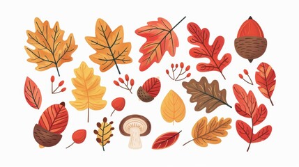 Obraz premium Collection of colorful autumn leaves, acorns, and mushrooms. Perfect for seasonal designs, nature illustrations, and fall-themed projects.