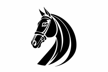 black and white horse © Hf Studio