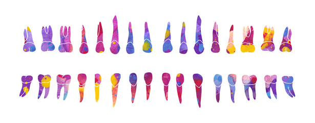 Dental Row. Colorful watercolor illustration