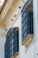 Obraz premium facade of an building