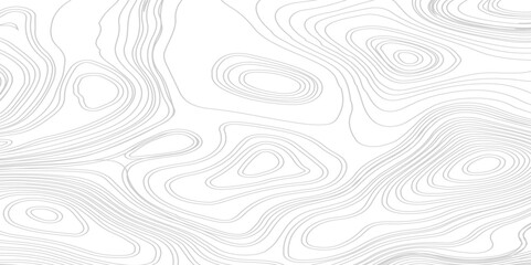 Abstract Topographic Contour Line Pattern in Black and White. Horizontal Topographic Line Pattern Background