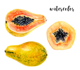 Watercolor Illustration of Papaya Fruit with Slices, for food and culinary art enthusiasts