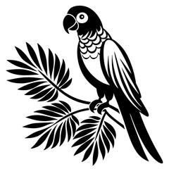 black and white parrot on branch