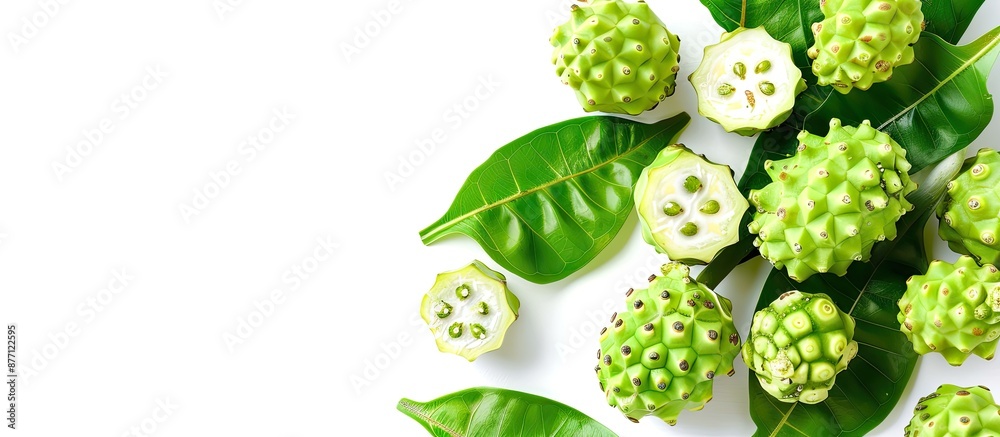 Poster Noni fruits displayed on a blank white backdrop with space for copying images.