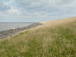 Ein Spaziergang von Utersum nach Dunsum auf der Insel Föhr in der Nordsee an einem windigen Tag