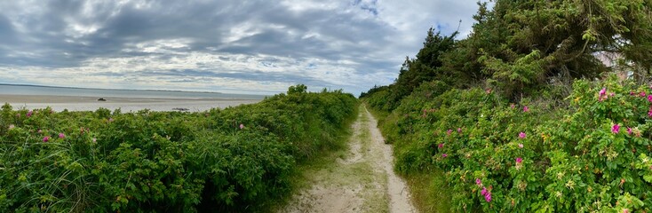 Ein Spaziergang von Utersum nach Dunsum auf der Insel Föhr in der Nordsee an einem windigen Tag