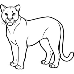 illustration of cartoon tiger