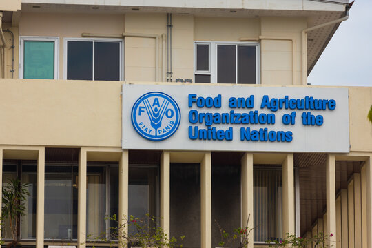 Bangkok, Thailand - 29 December, 2023: Blue emblem of Food and Agriculture Organization of the United Nations. FAO leads international efforts to defeat hunger and improve nutrition and food security
