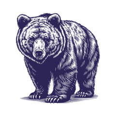 Obraz premium bear vector, bear silhouette