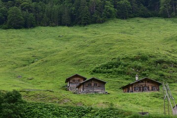 Obraz premium Wooden cabins nestled in a lush green hillside surrounded by dense forest