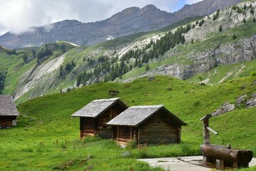 Scenic view of wooden cabins in a green mountainous landscape with a water fountain