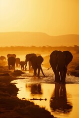 Fototapeta premium A herd of elephants atop a sandy beach, silhouetted against a sunset-tinted body of water